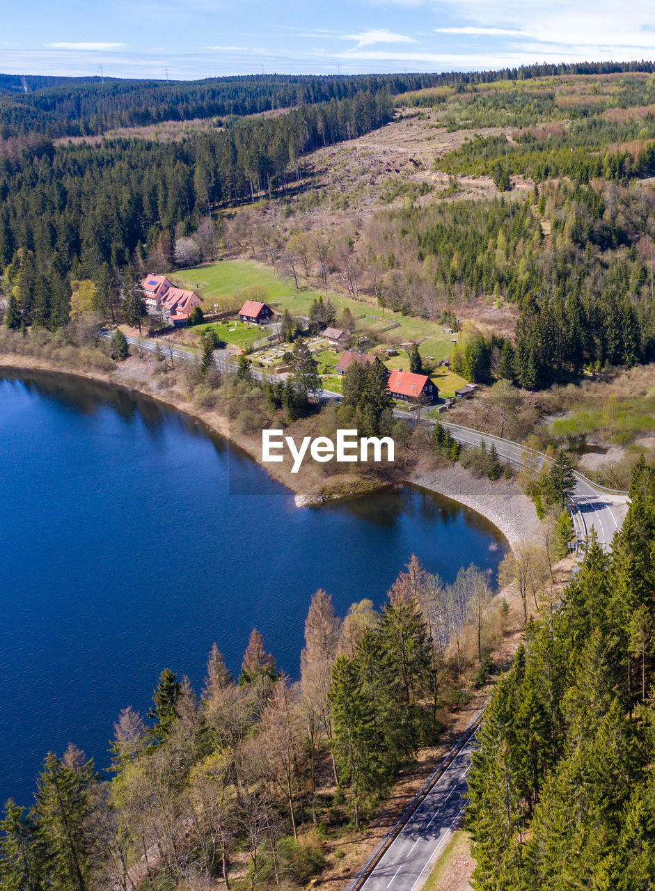 High angle view of river amidst trees