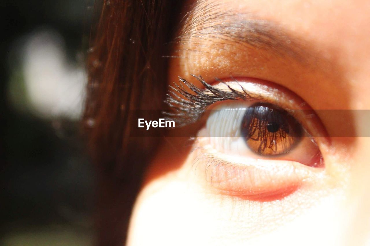 Close-up portrait of woman eye