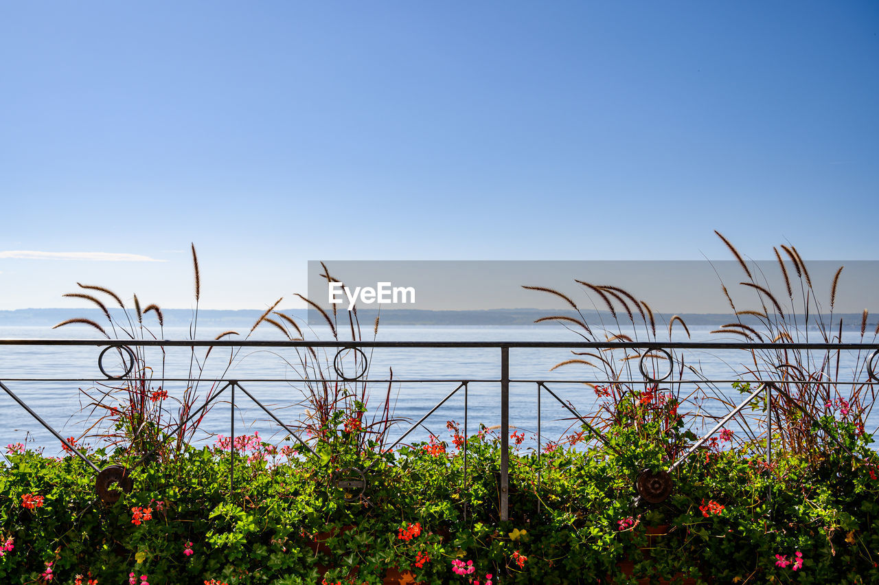SCENIC VIEW OF BLUE SEA AGAINST CLEAR SKY