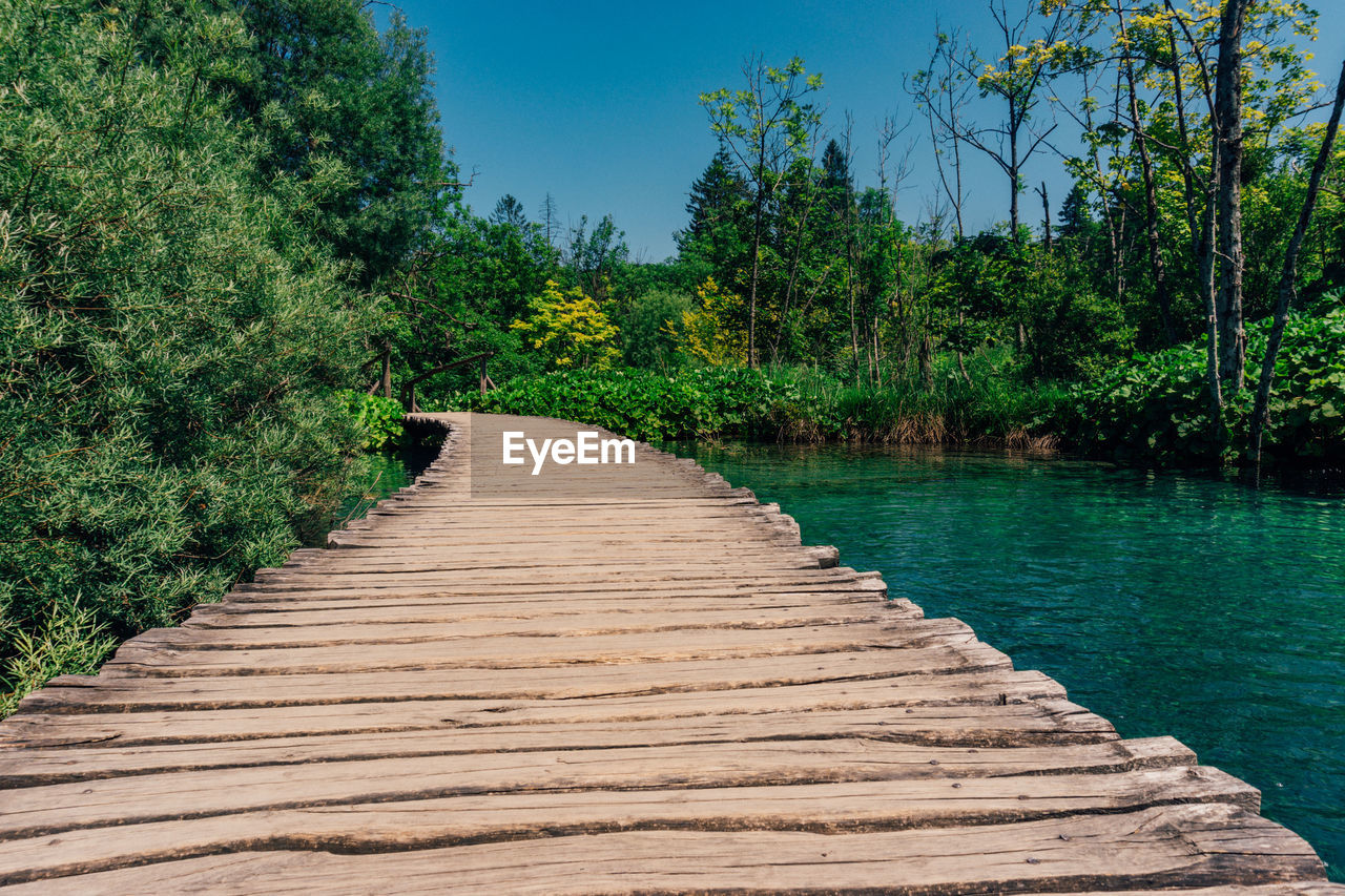 Boardwalk amidst trees in forest against sky