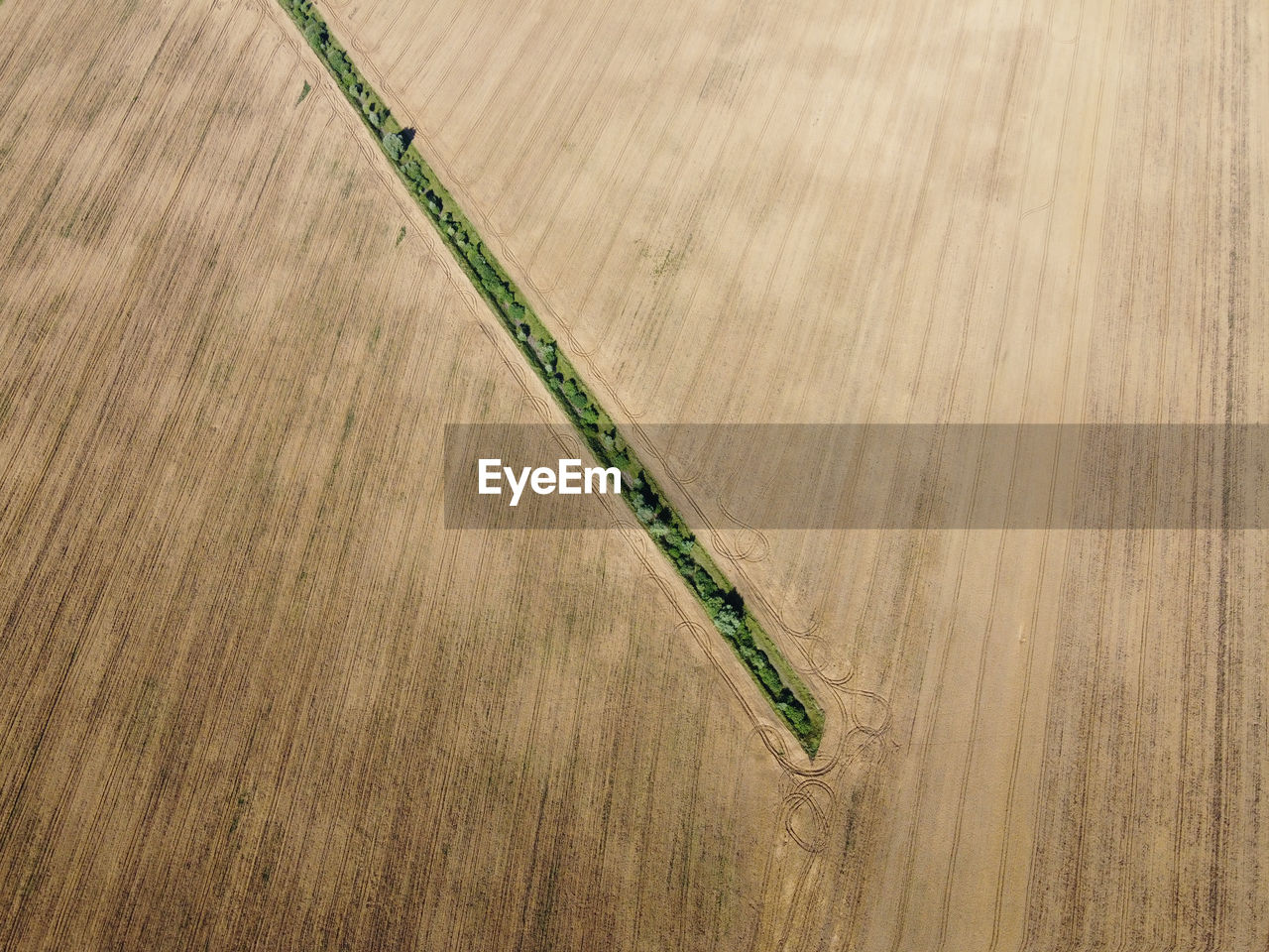 HIGH ANGLE VIEW OF PLANT GROWING ON FARM