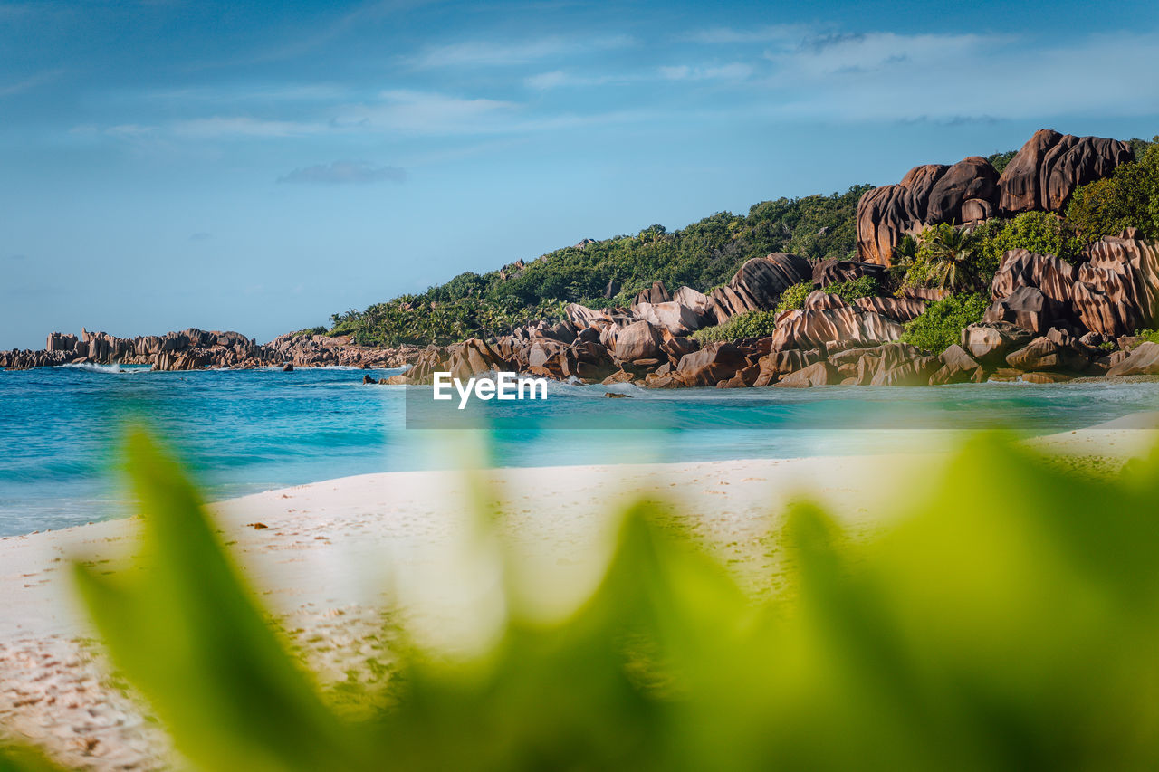 Scenic view of beach against sky