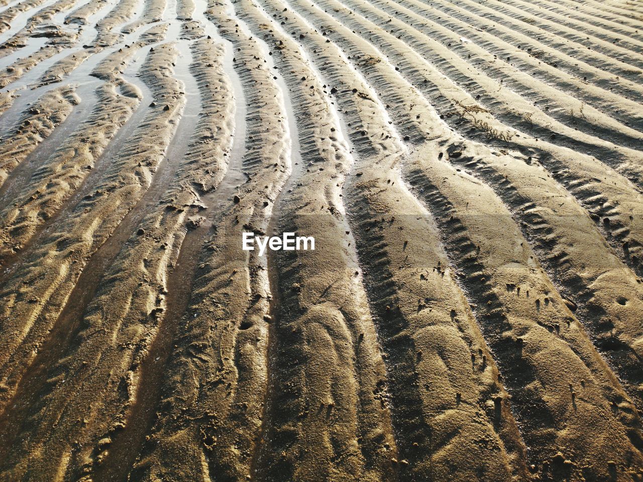 High angle view of tire tracks on sand