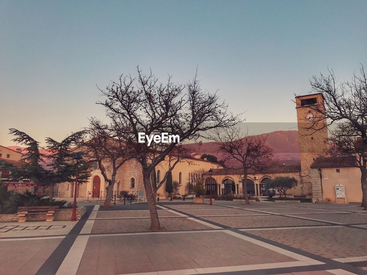 TREES BY BUILDINGS AGAINST SKY