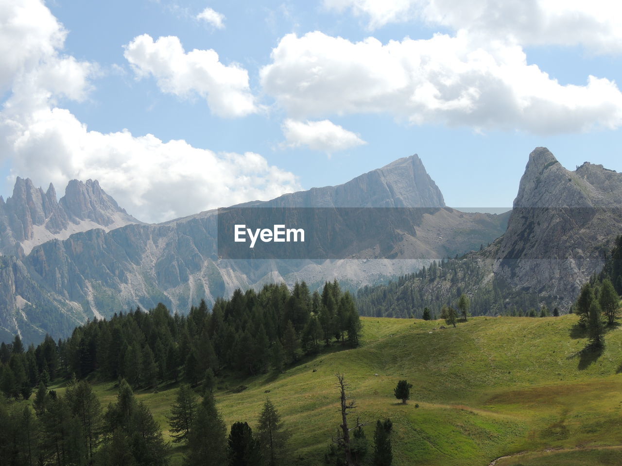 SCENIC VIEW OF TREES AND MOUNTAINS AGAINST SKY