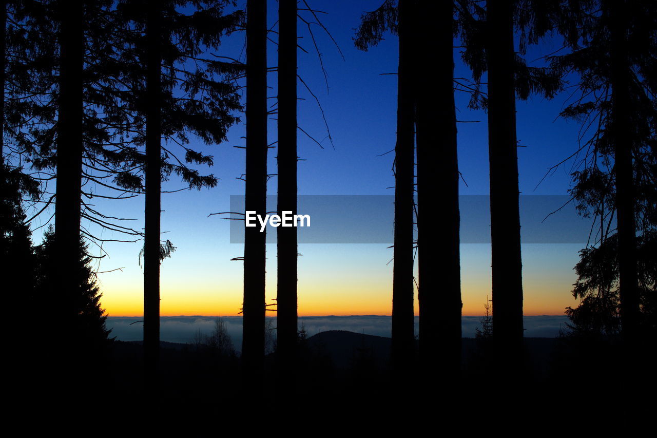 SCENIC VIEW OF SILHOUETTE FOREST AGAINST SKY AT SUNSET