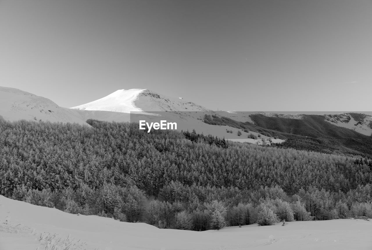 Scenic view of snowcapped mountains and forest against clear sky