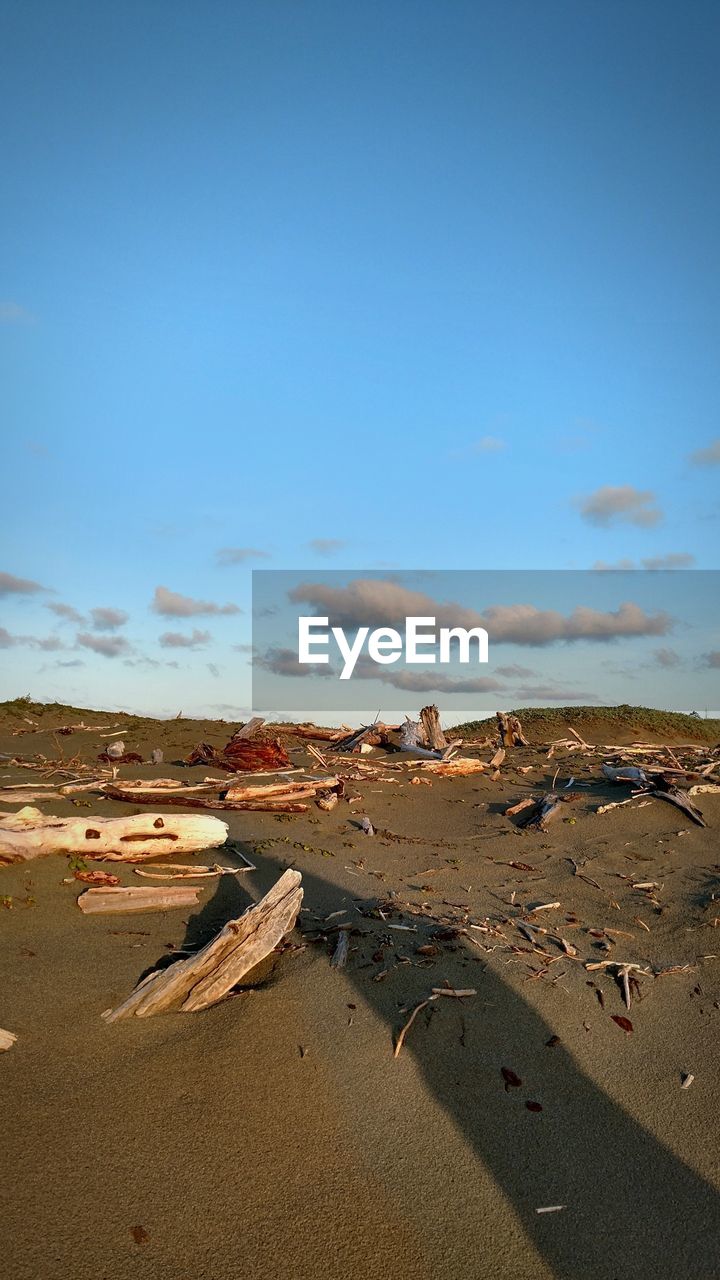 SCENIC VIEW OF BEACH