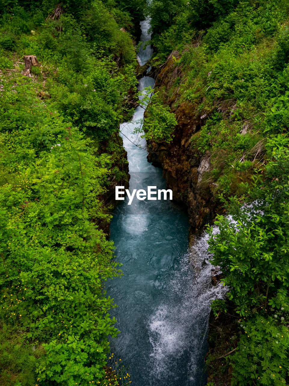 STREAM FLOWING IN FOREST