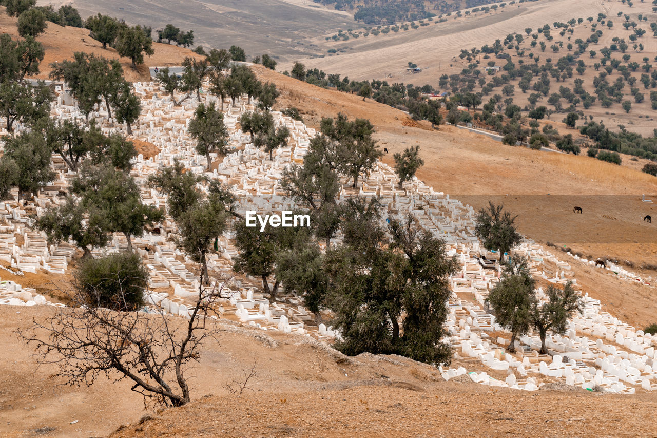 Full graveyard on a hill in morocco