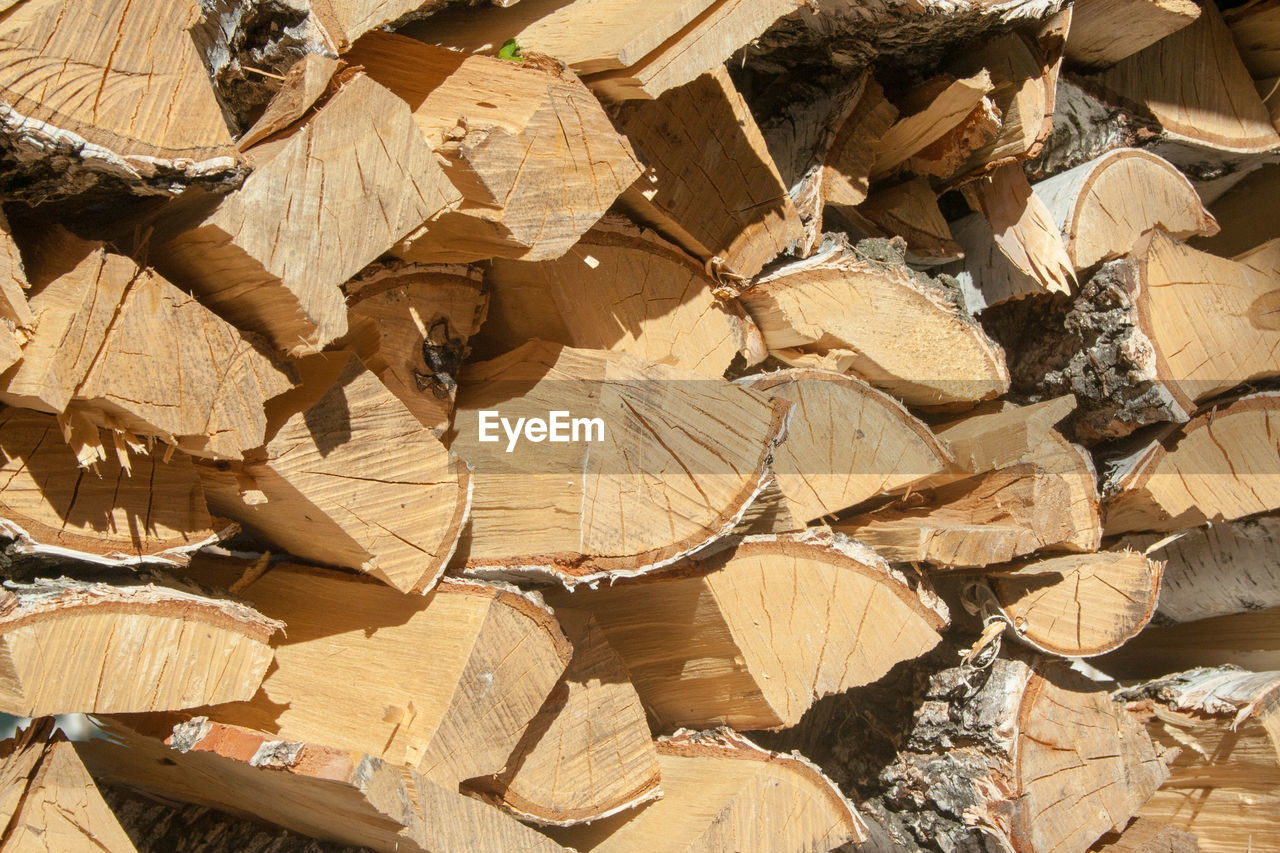 FULL FRAME SHOT OF TREE TRUNK