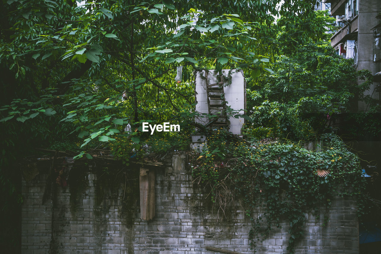 Built structure by trees and plants