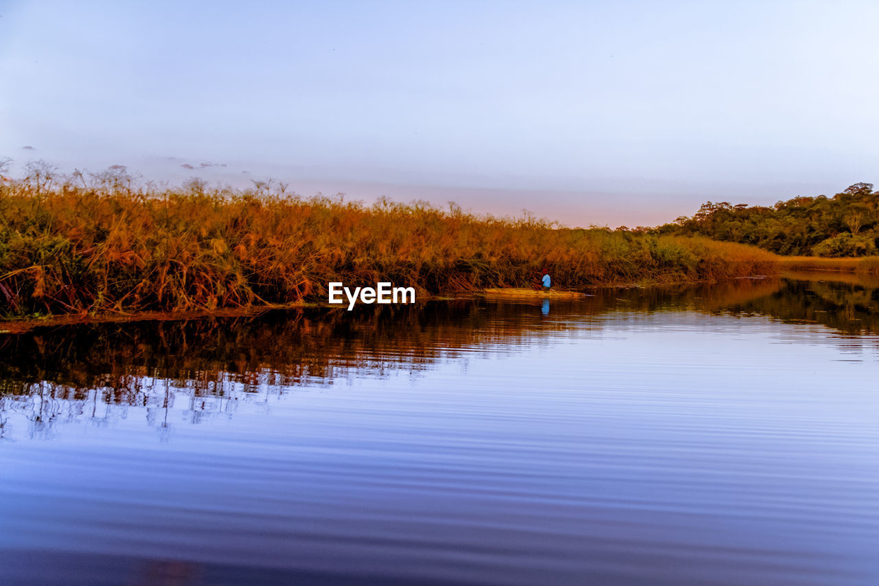 Scenic view of lake by trees against sky