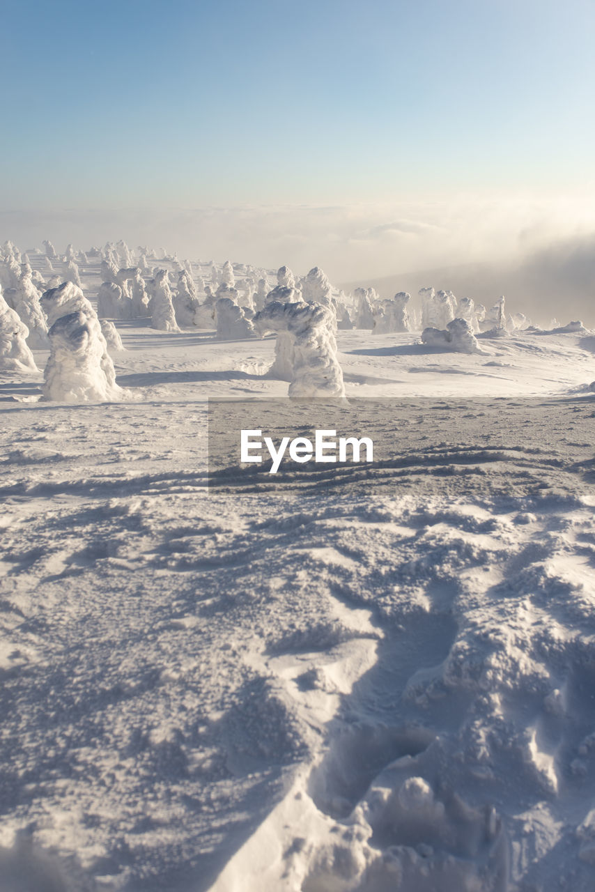 Frozen landscape against sky