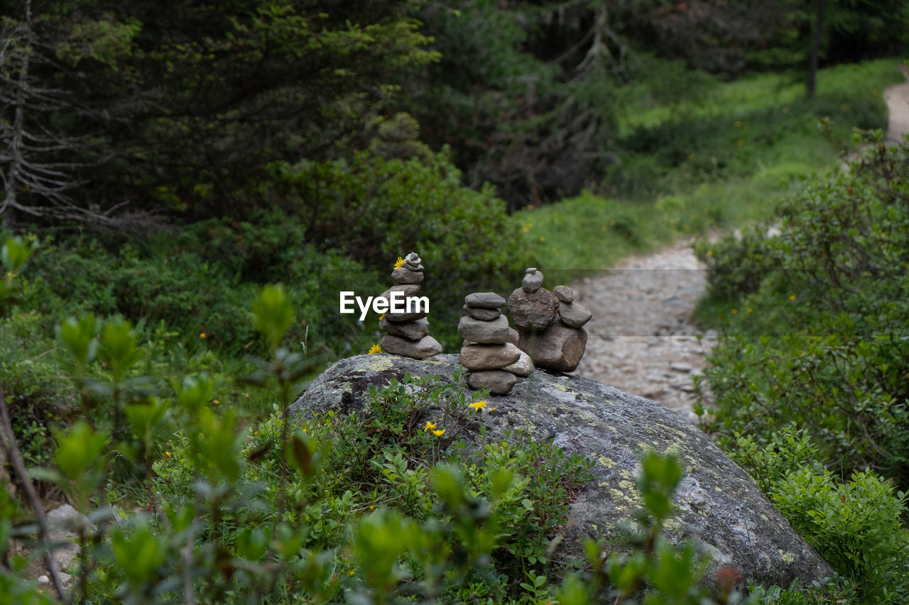 Stack of stones amidst plants