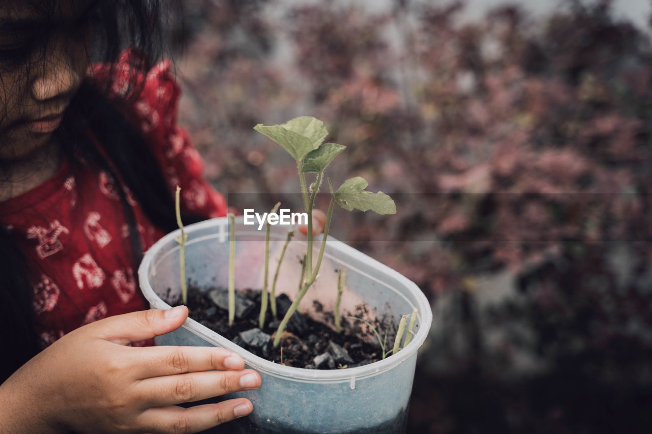 CLOSE-UP OF WOMAN HAND HOLDING FLOWER POT