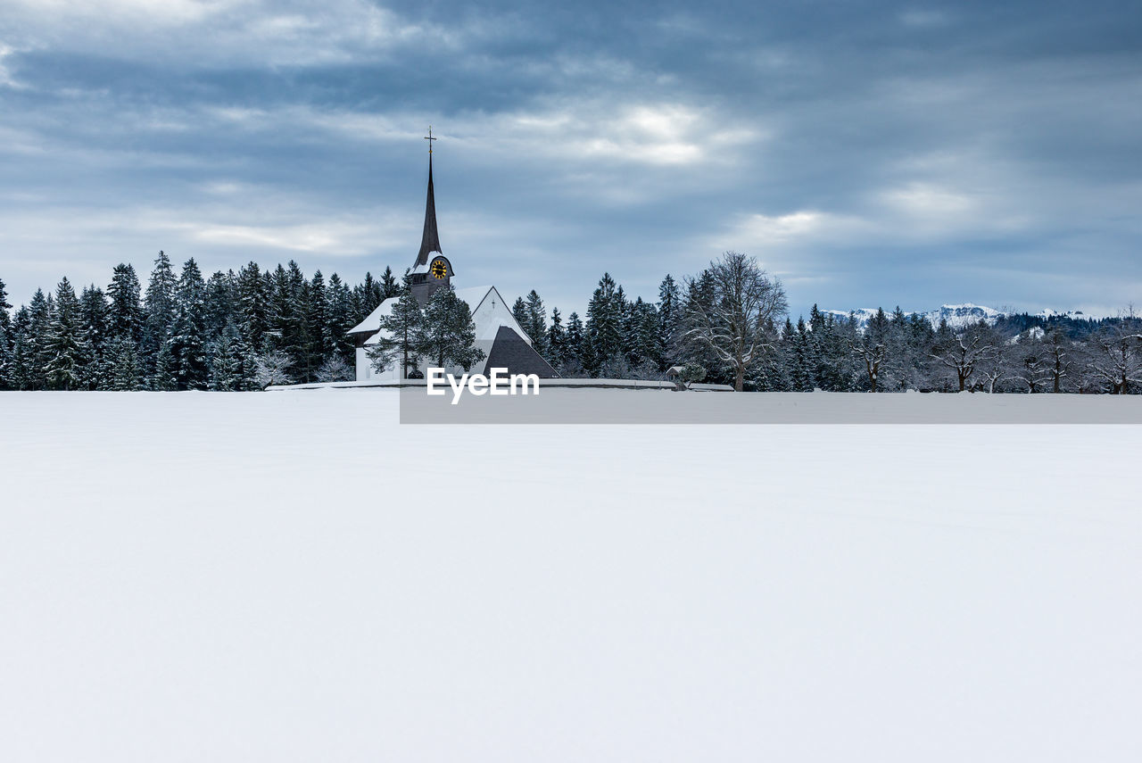 Trees on snow covered landscape