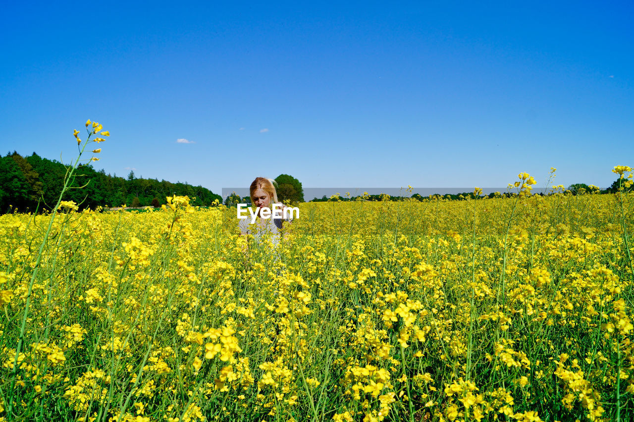 Woman standing amidst yellow flowers against clear blue sky