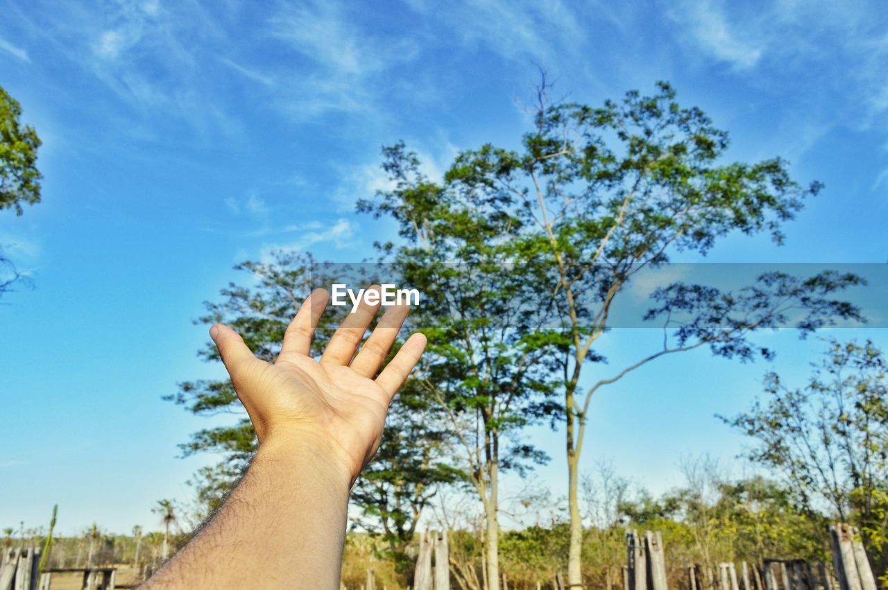 Low angle view of hand against trees
