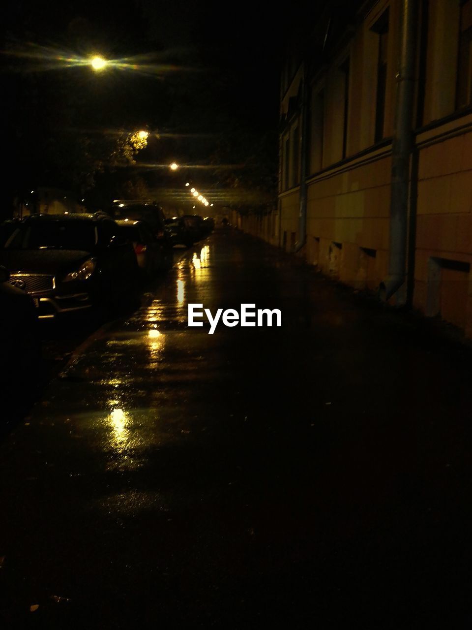 WET ILLUMINATED STREET AT NIGHT