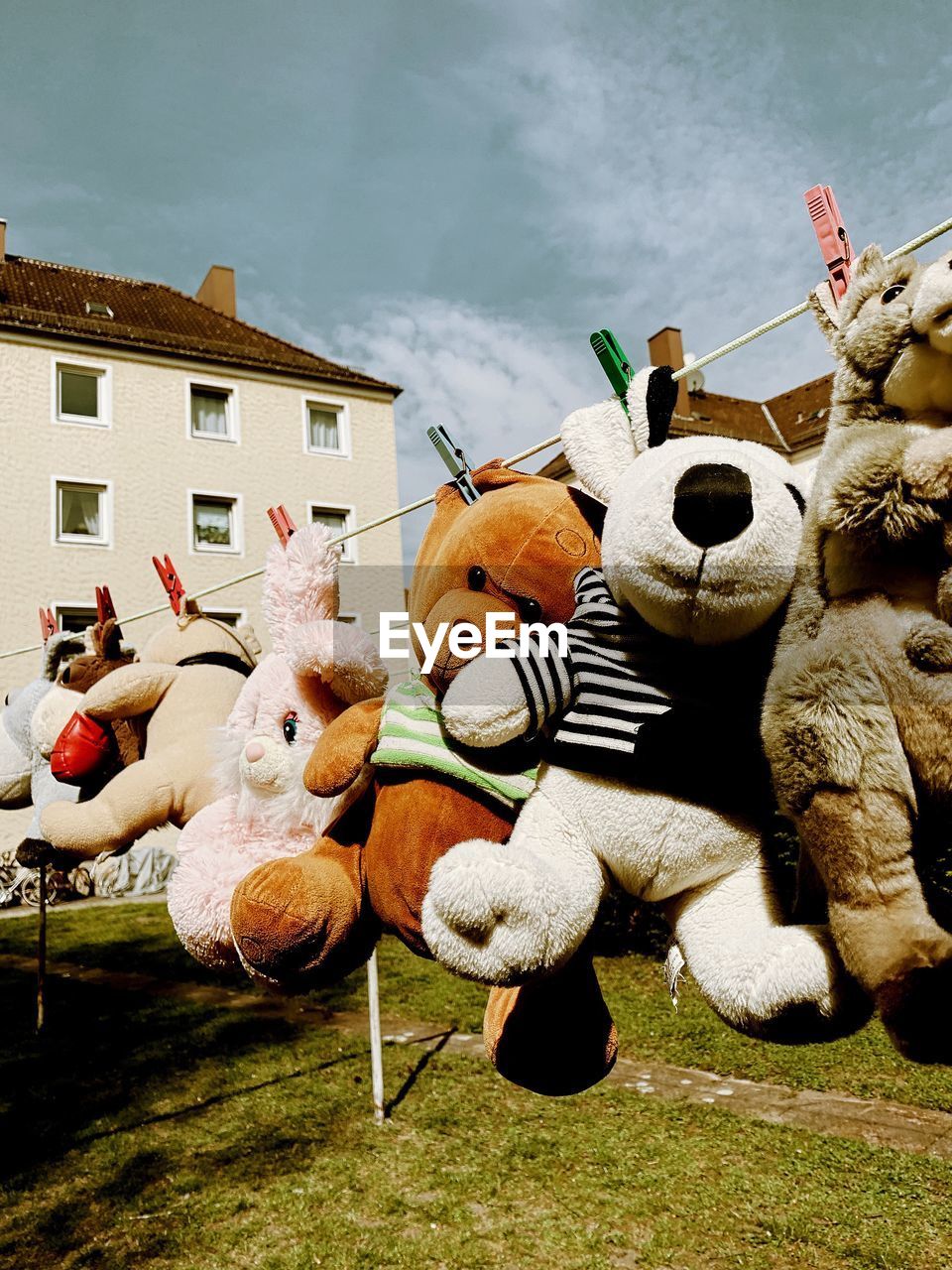 Close-up of stuffed toys hanging on clothesline