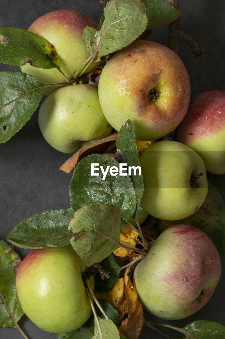 Fresh green red apples with fresh leaves on gray background.