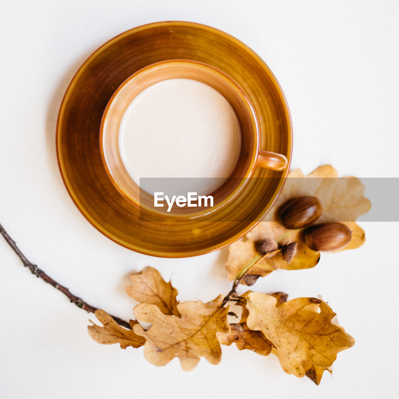 HIGH ANGLE VIEW OF FOOD ON TABLE