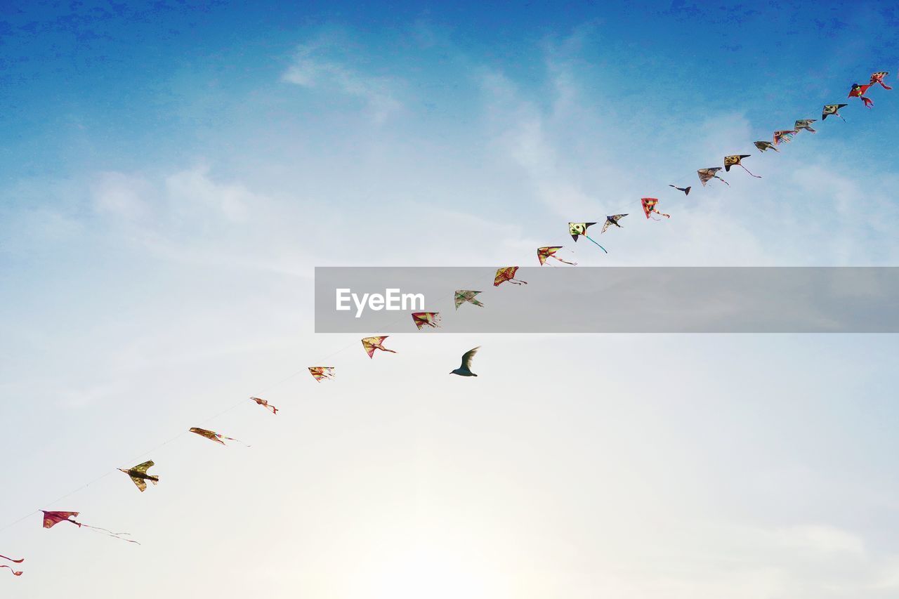 Low angle view of birds flying against sky