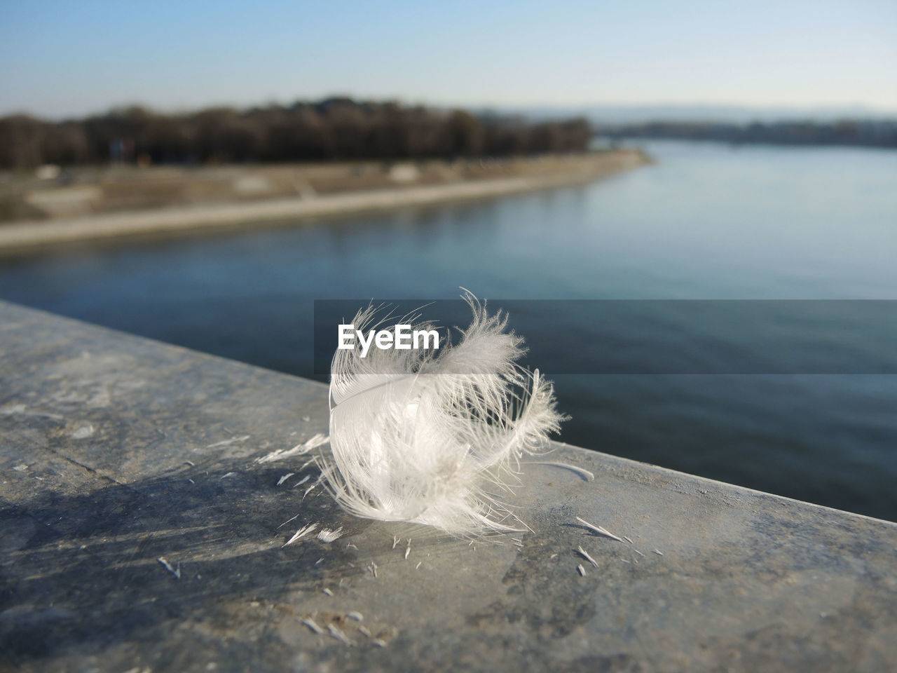 The feather remained on the fence after the bird flew away from the bridge over the river