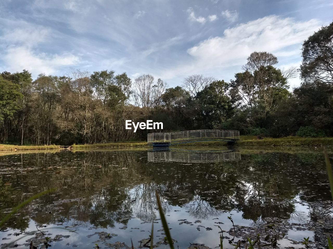 SCENIC VIEW OF LAKE AGAINST TREES