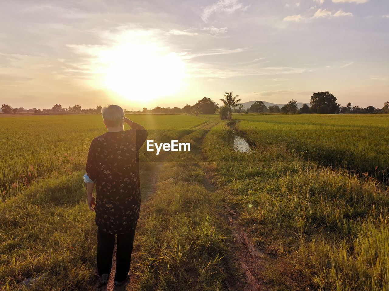 rear view of man standing on field against sky during sunset