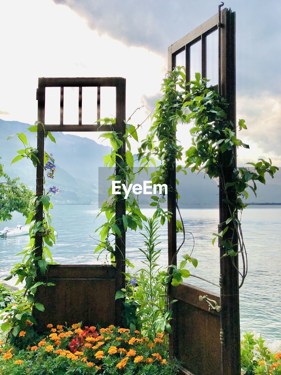 POTTED PLANT AGAINST METAL STRUCTURE IN WATER