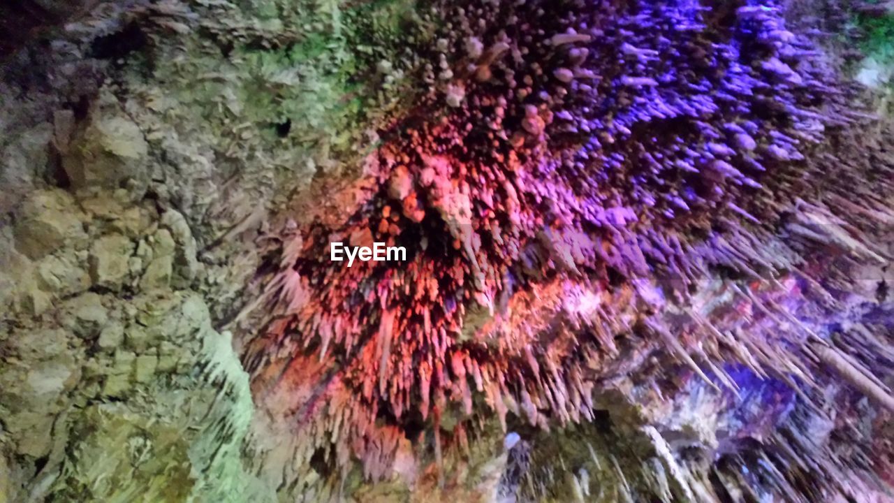 Colorful stalactites in cave