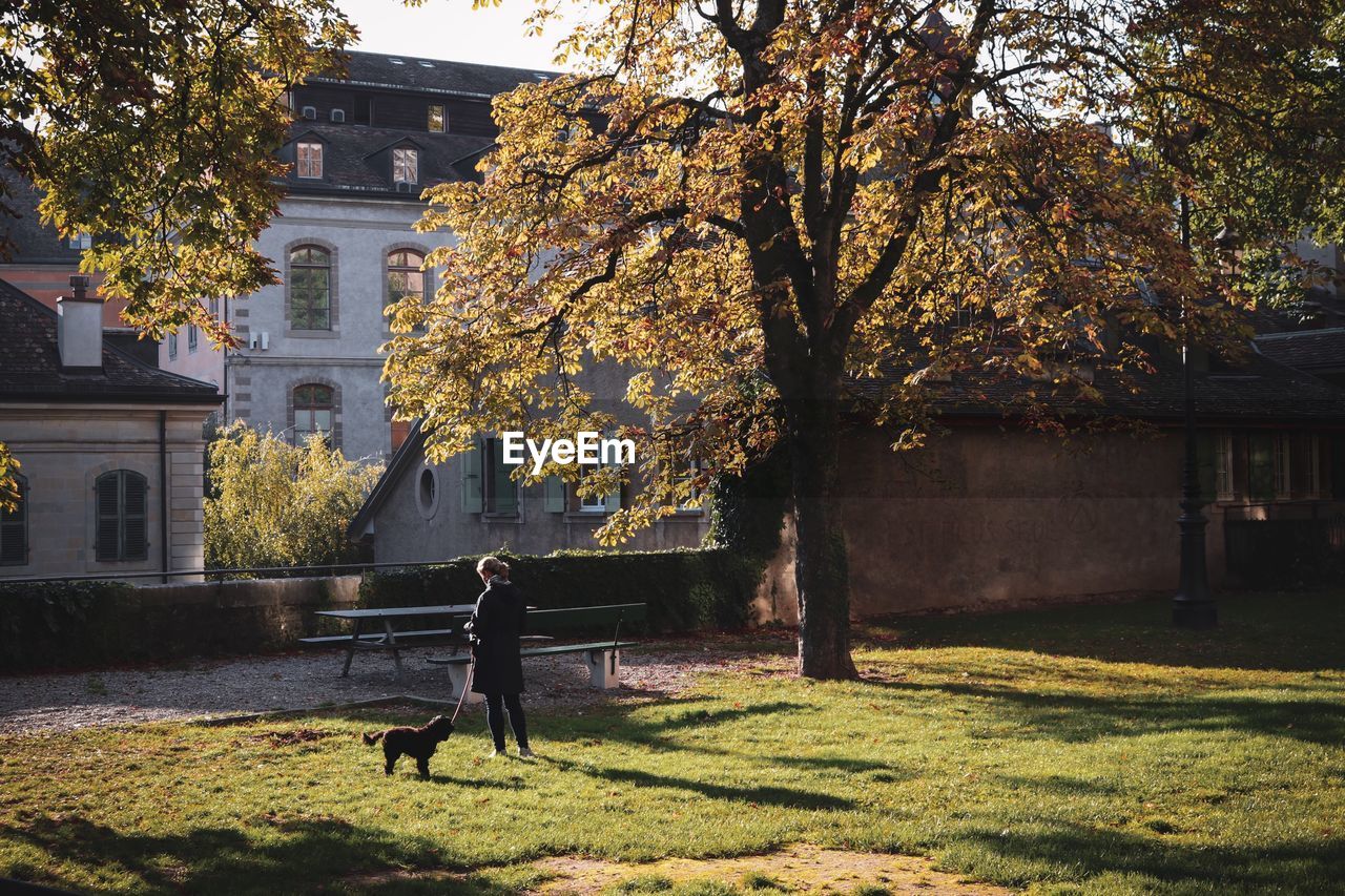 TREES BY PLANTS DURING AUTUMN