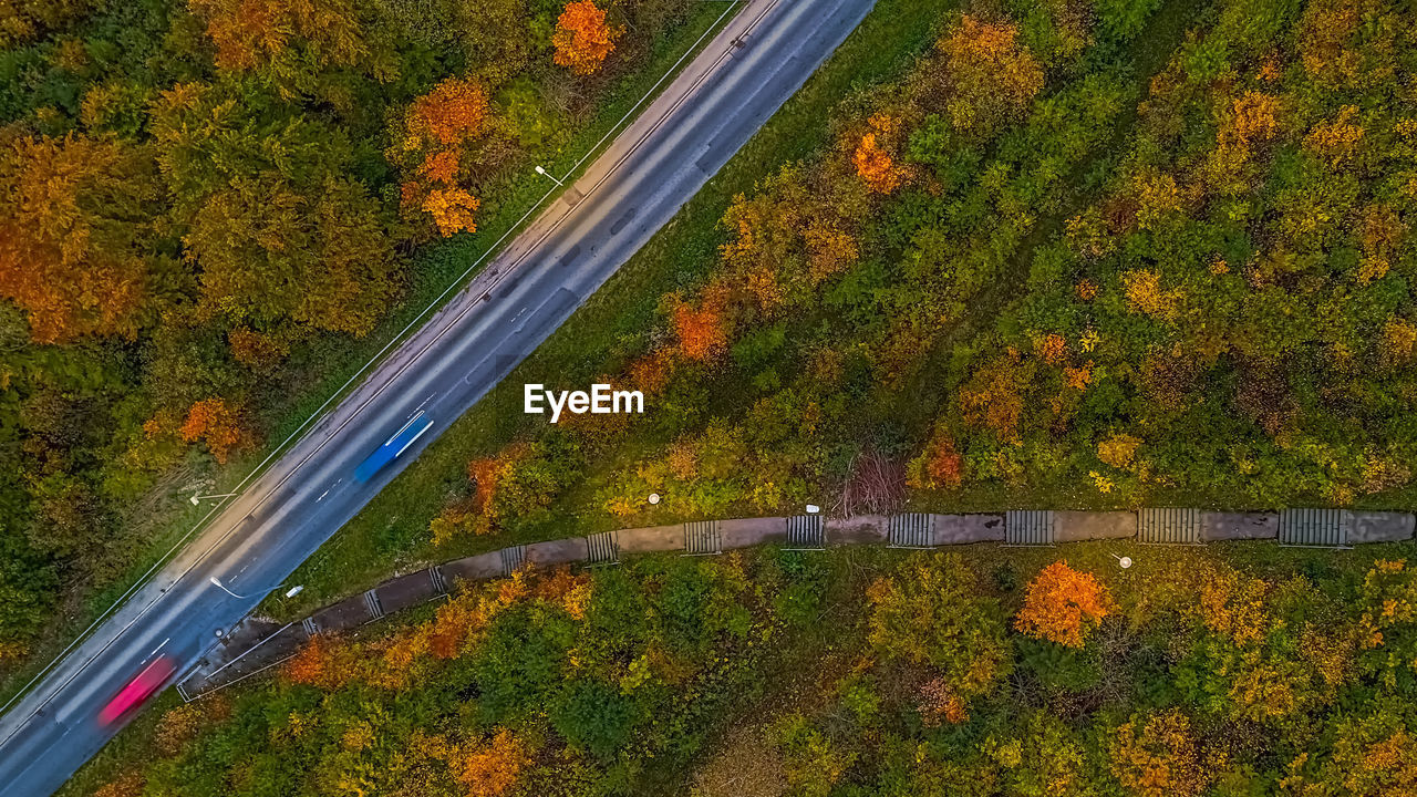 HIGH ANGLE VIEW OF ROAD AMIDST TREES