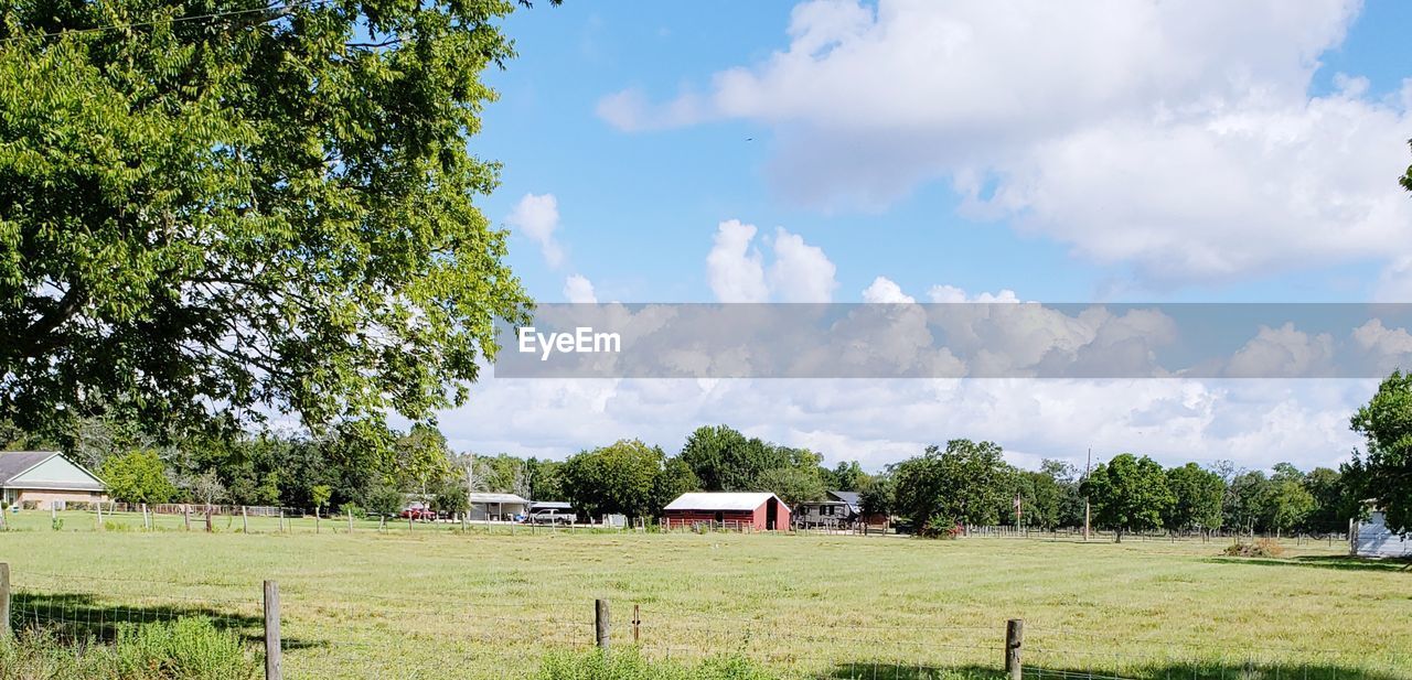 PANORAMIC SHOT OF TREES AND BUILDINGS AGAINST SKY