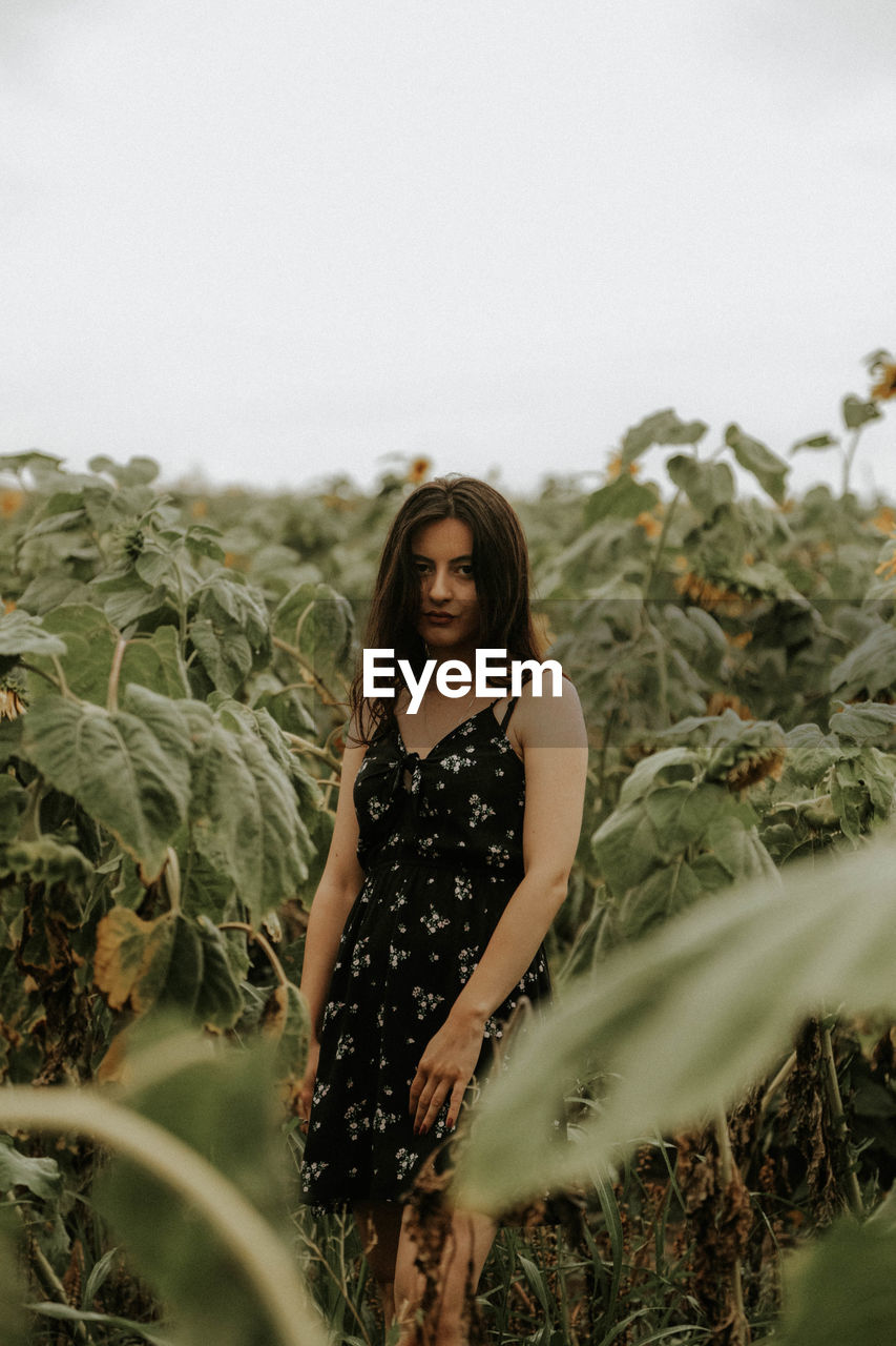 Young woman standing at sunflower farm