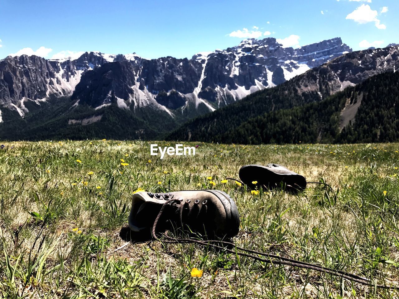 COWS GRAZING ON FIELD AGAINST MOUNTAINS