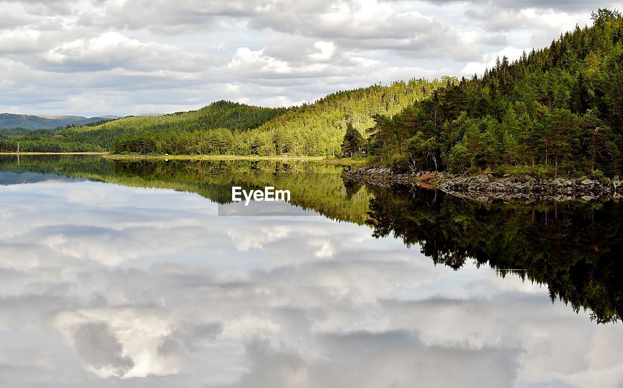 Scenic view of lake in forest against sky