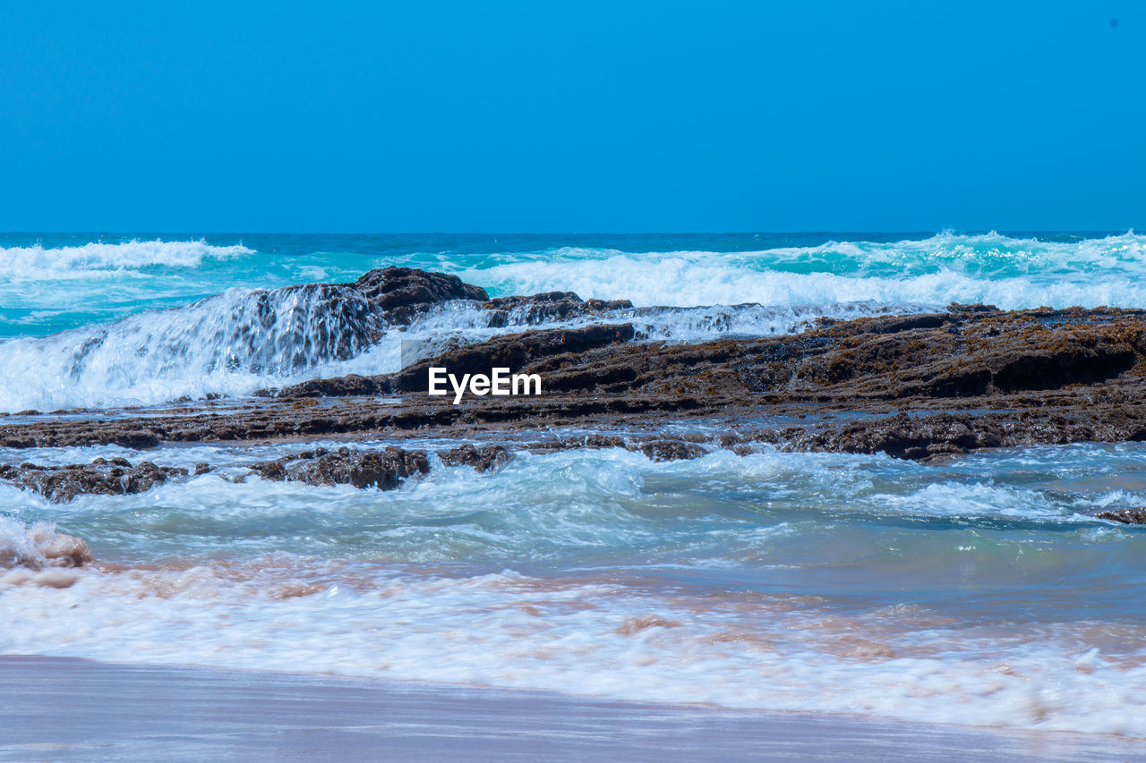 SCENIC VIEW OF BEACH AGAINST CLEAR SKY