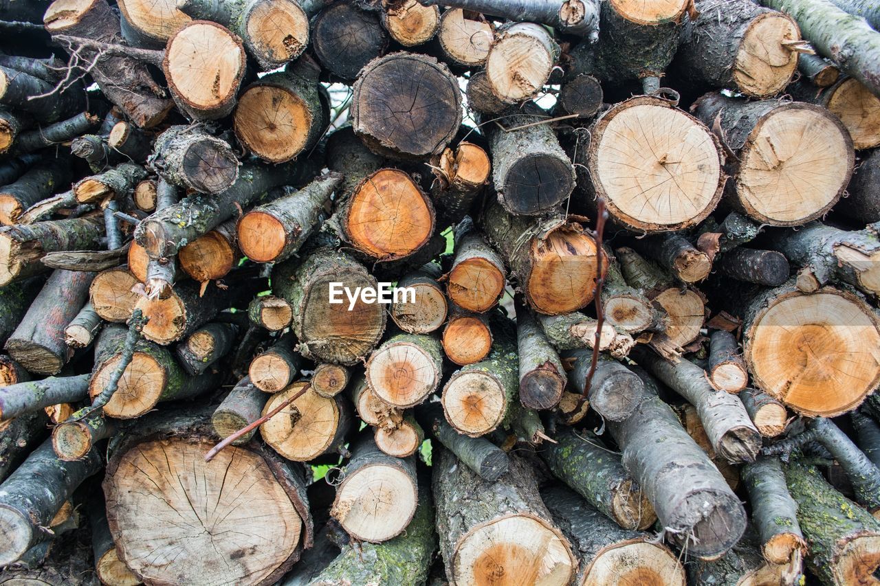 Full frame shot of wooden logs