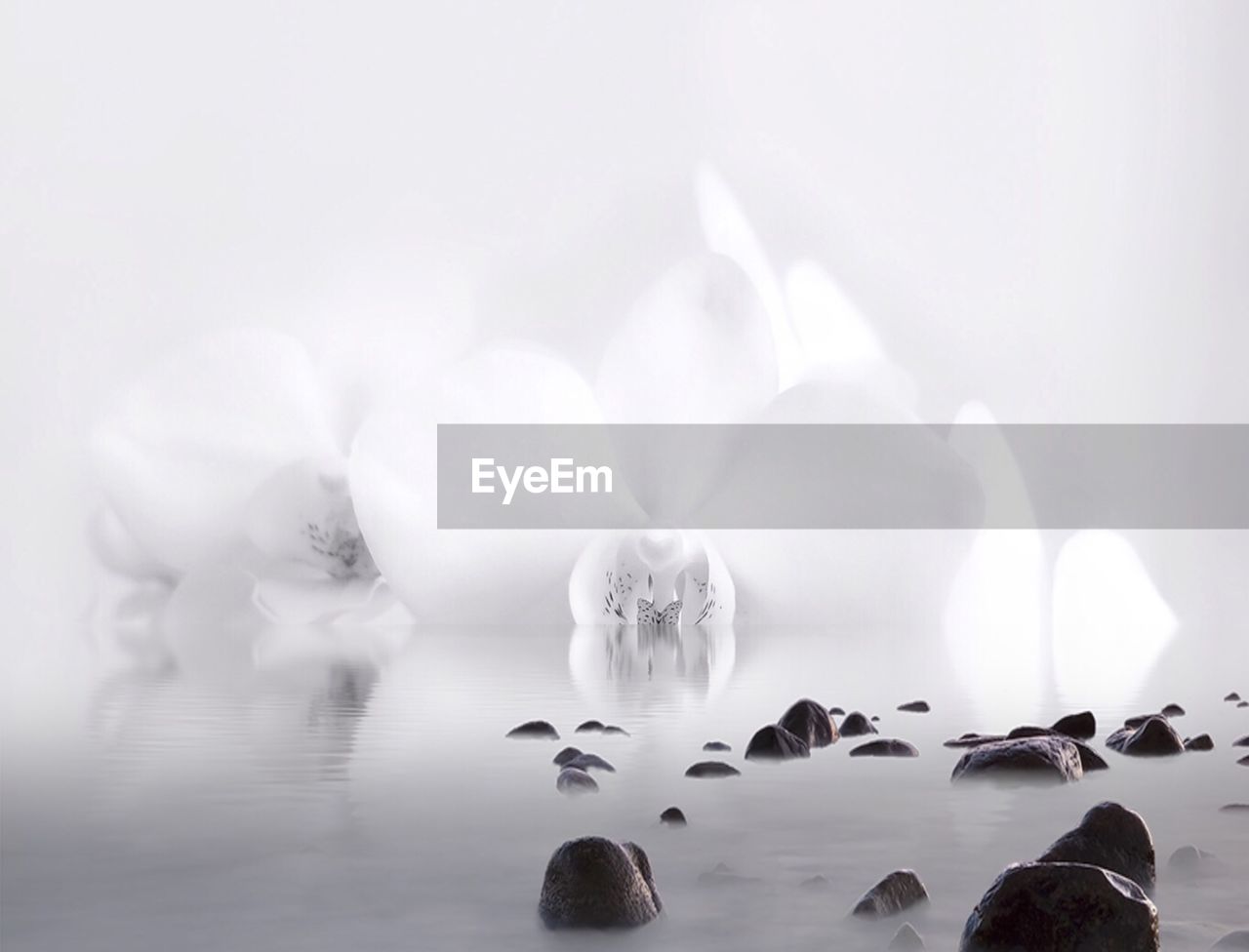 CLOSE-UP OF WATER SPLASHING ON ROCKS