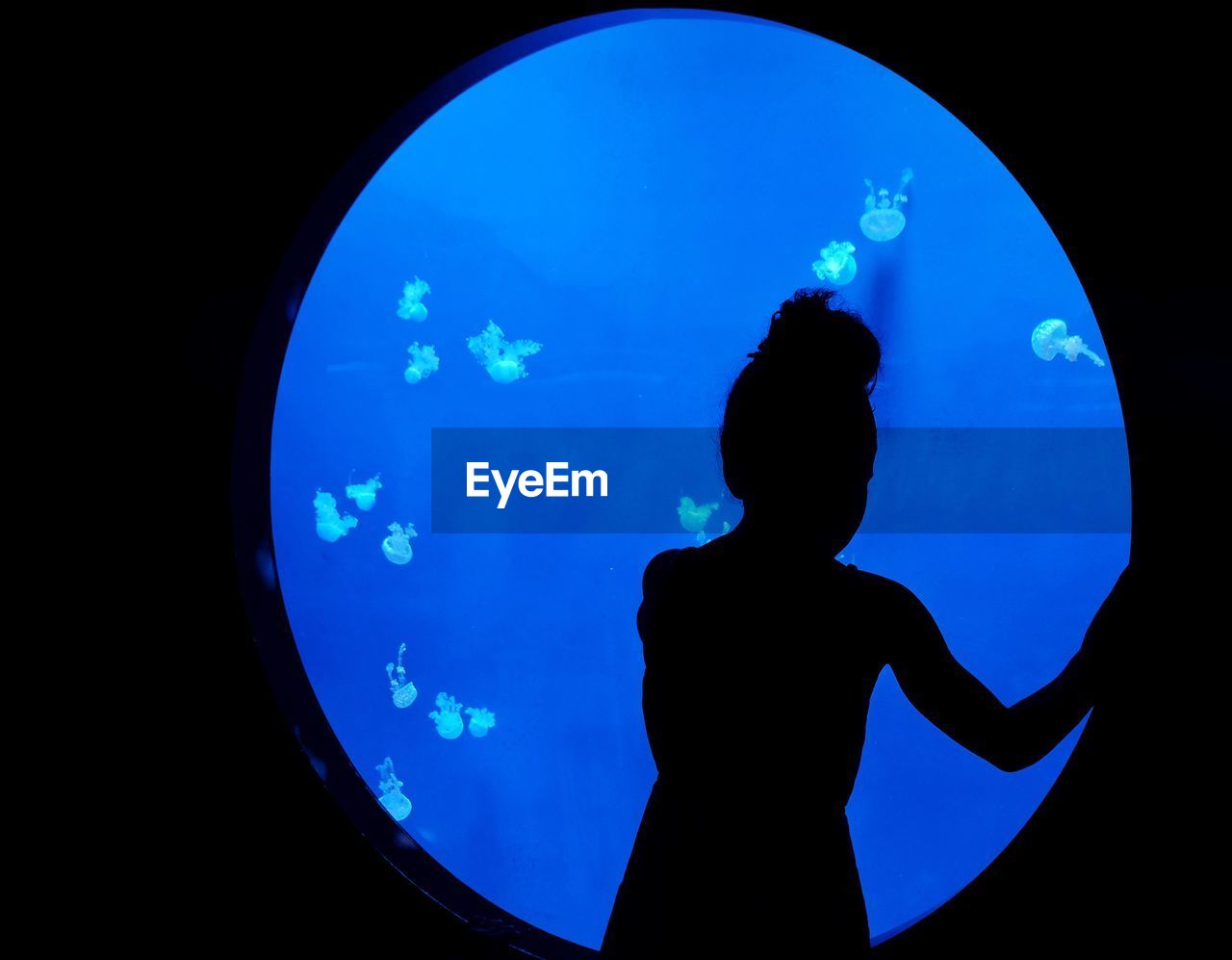 Rear view of silhouette girl looking at jellyfish in aquarium