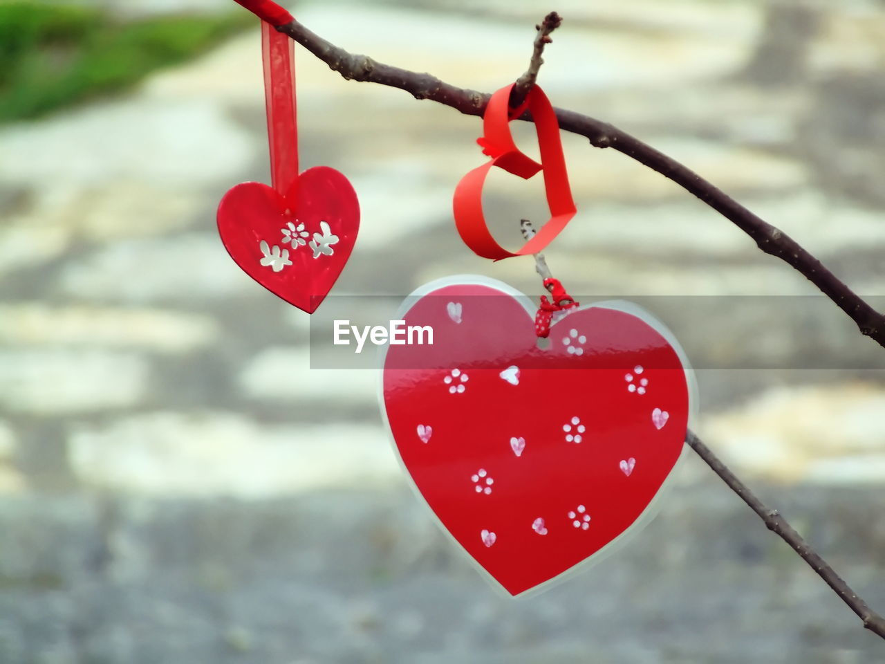 heart shape, love, red, positive emotion, emotion, heart, hanging, focus on foreground, valentine's day, romance, close-up, flower, nature, outdoors, day, plant, pink
