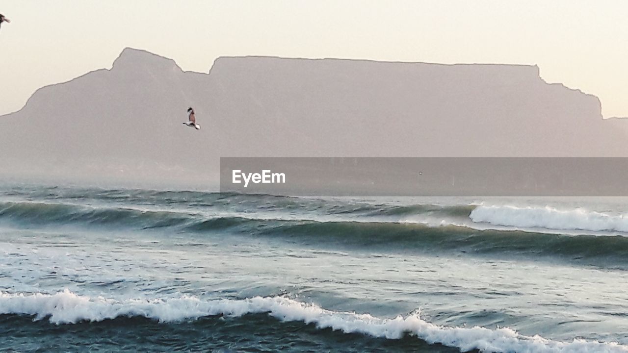 MAN PARAGLIDING OVER SEA AGAINST CLEAR SKY