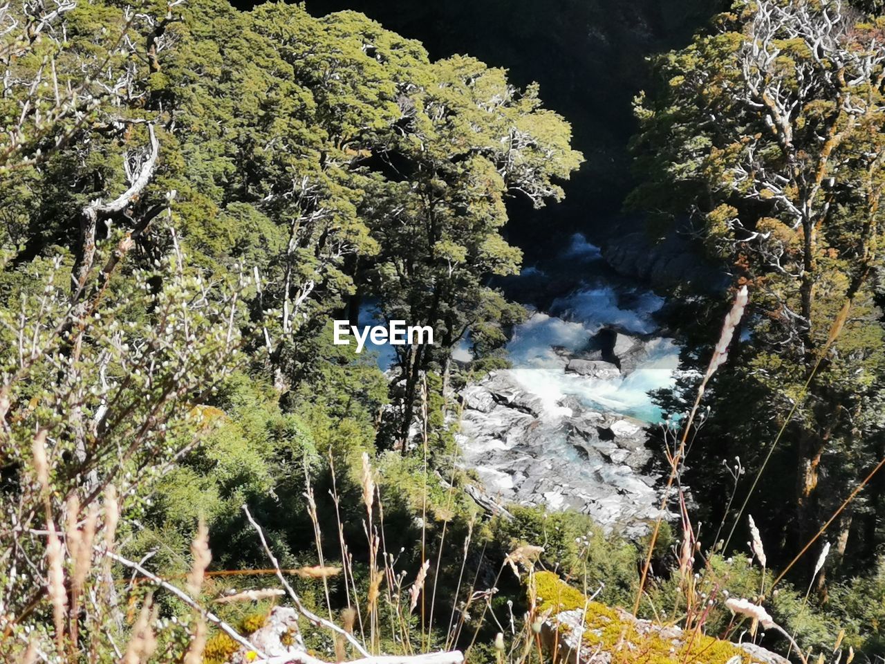 SCENIC VIEW OF WATER FLOWING THROUGH ROCKS