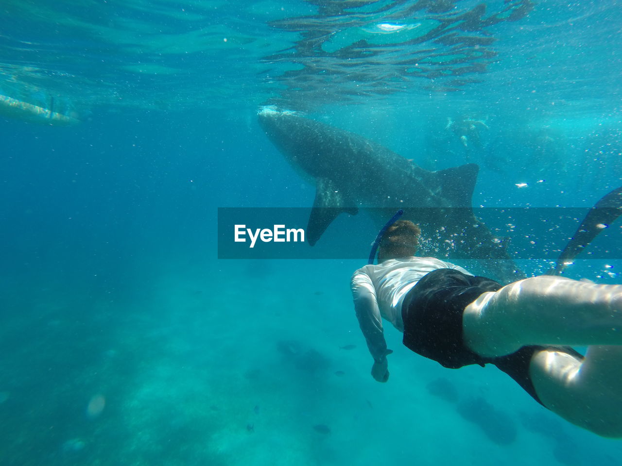 Man snorkeling in sea