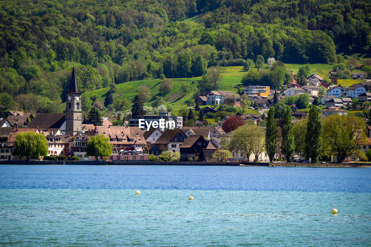 Scenic view of sea and buildings against trees