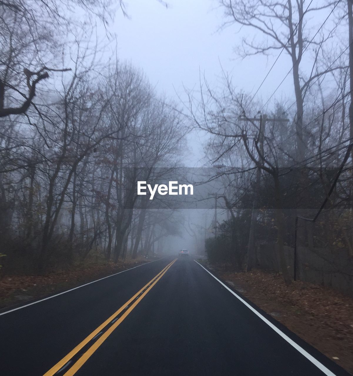 Road amidst bare trees against clear sky