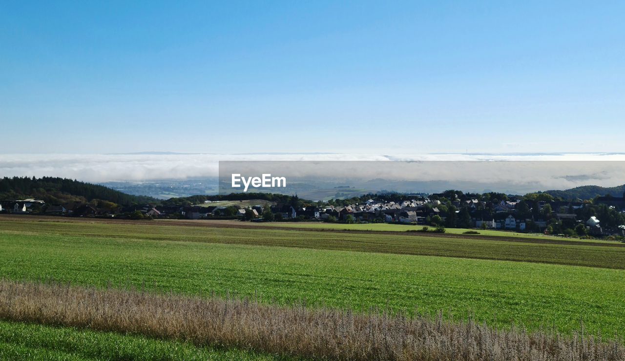 landscape, environment, sky, plant, horizon, land, field, scenics - nature, rural scene, plain, grass, nature, agriculture, beauty in nature, grassland, tranquility, hill, tranquil scene, no people, rural area, cloud, green, farm, growth, tree, day, blue, pasture, prairie, crop, outdoors, meadow, paddy field, food and drink, non-urban scene, architecture, building, mountain range, idyllic, food